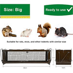 Załaduj obraz do przeglądarki galerii, RatzFatz® Lebendfalle 2.0 Ratte, Groß Premium Wiederverwendbar, Rattenfalle Mausefalle Lebend, 2 Türen, Ersetzt Schlagfallen, Siebenschläfer XXL, Tragegriff, Tierfalle, Modell Quickcatch 2.0 RatzFatz
